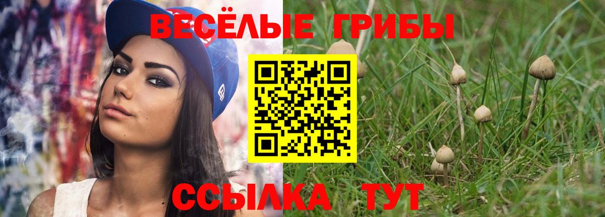 Соль-Илецк  Галлюциногенные грибы ЛСД  Вход с VPN 