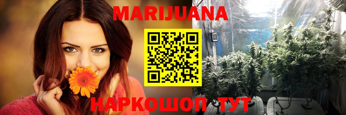 Каннабис конопля Соль-Илецк